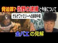 【金バエ】【佐野】の逮捕と今後について見解