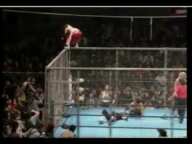 Hayabusa, amazing moonsault from the top of a cage