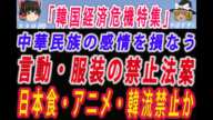 【ゆっくり解説】中華民族の感情を損なう言動・服装の禁止法案を検討へー日本食や日本アニメにも懸念！韓流コンテンツも禁止か