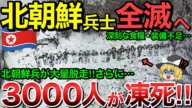 【ゆっくり解説】北朝鮮軍3000人が凍死・・さらに北朝鮮軍クルスクで大量脱走でロシア絶望！【ゆっくり軍事プレス】