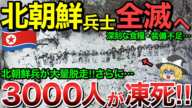 【ゆっくり解説】北朝鮮軍3000人が凍死・・さらに北朝鮮軍クルスクで大量脱走！【ゆっくり軍事プレス】