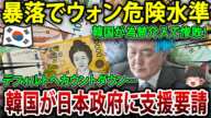 【ゆっくり解説】暴落でウォン危険水準韓国が為替介入で惨敗15年前の通貨危機以来の最安値デフォルトへカウントダウン…韓国が日本政府に支援要請