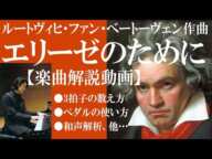 【弾き方解説】ベートーヴェン《エリーゼのために》 ～①3拍子の数え方、②ペダルの使い方、③和声分析