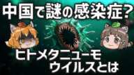 【未知？】中国の呼吸器感染症「ヒトメタニューモウイルス」とは…危険性や対策について