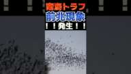 南海トラフ前兆が三重県で観測しました！！大地震が今週起こってもおかしく無い！#shorts