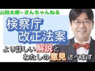 【第397回】検察庁改正法案!より詳しい解説とわたしの意見述べます 【山田太郎のさんちゃんねる】