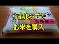 ウェルシアでお米１０ｋｇ購入　＜食料品の買い出し8月の2回目＞