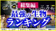 【ゆっくり解説】【総集編】最強生物ランキング6選まとめ 寿命・音量・能力・大きさ他【睡眠用】【作業用】