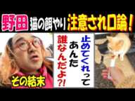 【野田】猫の餌やりを注意され口論!「止めてくれって、あんた誰なんだよ!?」その結末は…