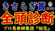 きさらぎ賞2025一週前レース予想全頭診断！Ｇ１好走馬ランスオブカオスや重賞好走馬サトノシャイニングやミニトランザットに素質馬ショウヘイなど１２頭と頭数は落ち着いたが好メンバーが揃った！