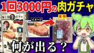 1回3000円の肉ガチャってどんな肉が出る！？コスパどうなの？【ずんだもん＆ゆっくり解説】