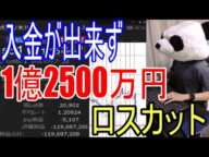 【FX芸人の末路】含み損に耐えようと入金手続きしたが1億2500万円ロスカット