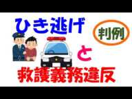 ひき逃げ及び救護義務違反における罰則と判例を参考としてください。