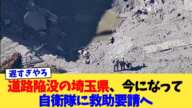 道路陥没の埼玉県、今になって自衛隊に救助要請へ【2chまとめ】【2chスレ】【5chスレ】