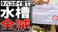 【悪質】タバコのポイ捨てで水族館の魚が全滅...野外施設が閉鎖になってしまう