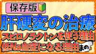 イラストで学ぶ医学！「肝硬変でスピロノラクトンを使う理由とは」腹水・低ナトリウムになる理由とは？