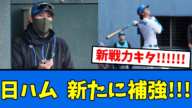 【速報!!!】日ハムあの長距離砲を”獲得”した模様!!!!【プロ野球反応集】【2chスレ】【5chスレ】