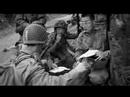 ＷＷⅡ Historical reenactment  Battle of Carentan