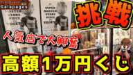 【高額1万円くじに挑戦】話題の超人気店で視聴者さんと大興奮‼︎ 一番くじ ドラゴンボールフィギュアが大量に当たる⁉︎ galapagos ガラパゴス