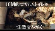 【閲覧注意】ウンチにまみれ壮絶なくらい汚れたトイレを一生懸命磨いた結果　Subtitle : English, русский, português, français, Allemand, etc