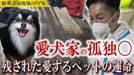 【閲覧注意】亡くなった後も悲しむ愛犬家の孤独〇『ペットに対する義務と責任とは』｜遺品整理士／特殊清掃