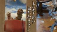 【閲覧注意】飼い主が孤独死...極限状態で残されたペット達が選んだ行動とは...??【遺品整理士／特殊清掃】