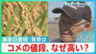 コメの値段、なぜ高い？　背景に農家の苦境も　「コメを作れない」と廃業続出【サンデーモーニング】| TBS NEWS DIG