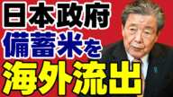 【消えた21万トン】政府が備蓄米を使い込み、市場は大混乱…コメ価格高騰の裏に潜む「投機」と「海外流出」の闇とは【解説・見解】