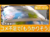 “怪しいコメ”銘柄産地不明　飛び込み営業急増　群馬拠点インド人社長直撃【詳細版】【もっと知りたい！】【グッド！モーニング】(2025年2月21日)