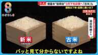 備蓄米21万t 放出へ3月下旬には店頭に｢令和5年産古米」も…味に違いは？おいしく炊く方法は？【めざまし８ニュース】