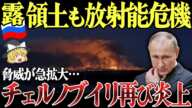 【ゆっくり解説】チェルノブイリが再び炎上！ドローン攻撃でロシア領土も放射能危機！？さらに、ロシア停戦交渉でプーチンへの利益許せば…。