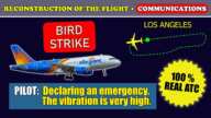 Bird strike. High engine vibration. Emergency return | Allegiant Air A319 | Los Angeles, LAX, ATC