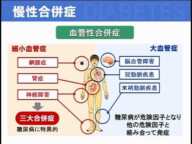 【糖尿病】 疾患編 1-4 糖尿病の合併症