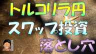 FX初心者さんがトルコリラ円スワップ投資で大損しないために