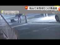 【独自】カメラ捉えた「犯行の瞬間」 松山市の路上で女性切りつけられケガ 男が逃走中【愛媛】 (25/03/20 18:40)