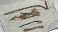 盗塁の練習で滑り込んだ10歳の男子児童が大けが 公園の地面に埋まっていたくぎが刺さる ベースを置く目印に打ち込まれていた可能性 愛知・西尾市