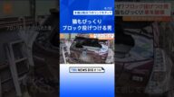 突然ブロックを投げつける男…寝ていた猫も驚き逃走! 犯行の一部始終 | TBS NEWS DIG #shorts