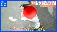 突然ブロックを投げつける男…寝ていた猫も驚き逃走! 犯行の一部始終|TBS NEWS DIG