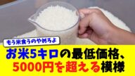 お米5キロの最低価格、5000円を超える模様【ニュース】【2chスレ】【5chスレ】