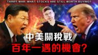 【突發】川普真正目的?股債匯幣,操控市場?千載難逢的,1隻10倍股買入機會!