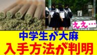 中学生が大麻 入手方法が判明【2chまとめ】【2chスレ】【5chスレ】