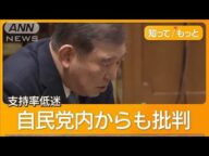 新年度予算成立へ「強力な物価高対策」は…総理に追及強める野党 自民党内からも批判【知ってもっと】【グッド!モーニング】(2025年3月31日)