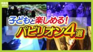 【子どもと楽しめる万博パビリオン】XRゴーグルで"おばけの世界"に!?オーストラリアの大自然で珍しい動物を探せ!おすすめ4パビリオンを一挙紹介(2025年3月28日)