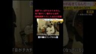 ⬆️本編はリンクから⬆️「今もテレビ番組見せアレフを正当化」地下鉄サリン事件から30年 進む風化と勧誘