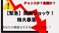 【緊急】トランプ関税ショックで株式市場大暴落!今すぐ知るべき真実とは?