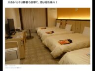【エセアカ・範馬勇子通報用】全室禁煙の東京ディズニーリゾート・パートナーホテル「三井ガーデンホテルプラナ東京ベイ」にて金バエの元カノ範馬勇子とともに喫煙【三井不動産ホテルマネジメント】