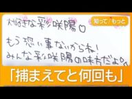 出国前に「つきまとい」認める 神奈川県警が7回任意聴取 川崎市の20歳女性遺棄【知ってもっと】【グッド!モーニング】(2025年5月5日)