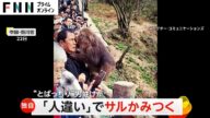 “人違い”でとばっちり!サルが男性にかみつく お尻をタッチしたのは隣にいた観光客 中国・四川省