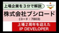 【日本株】ブシロード(7803)を解説