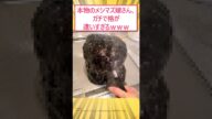 本物のメシマズ嫁さん、ガチで格が違いすぎるwww #2ch面白いスレ